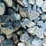 Kamenclub.ru: Щебень галтованный зеленый (змеевик) фр. 50-100 мм.  купить в Москве галтовка мраморная зеленый, салатовый мрамор 12 500 руб/т   фото КАМЕНЬ КЛУБ