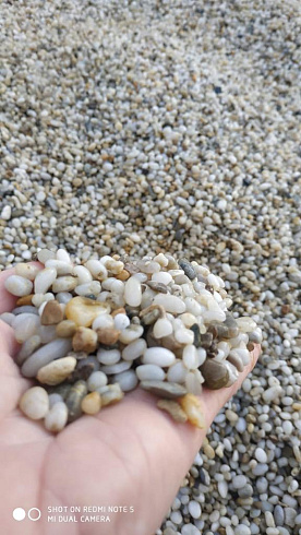 фото Галька крымская жемчужная фр. 5-10 мм. в интернет-портале КАМЕНЬ КЛУБ