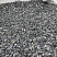 Kamenclub.ru: Щебень крошка черный (мрамор) фр. 20-40 мм.  купить в Москве мрамор черный с белыми прожилками мраморная каменная крошка 11000 руб/т   фото КАМЕНЬ КЛУБ