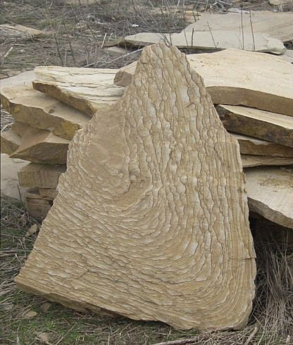 Kamenclub.ru: Форматный камень (плаха) пошаговая дорожка от 70-150 см (4 -12 см)  купить в Москве плитняк  форматный плаха желтый песчаник 9 000 руб/т   фото КАМЕНЬ КЛУБ