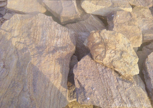 Kamenclub.ru: Песчаник пластушка "фонтанка" желтая (3,0 - 5,0 см)  купить в Москве песчаник желтая, рыжий, желтый песчаник колотый рваный со сколом облицовочный 16200 руб/м3   фото КАМЕНЬ КЛУБ